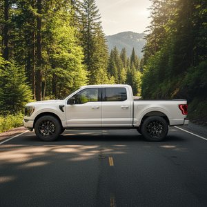 22X9 Fuel 1PC D679 REBEL RIMS -  MATTE BLACK 6X135